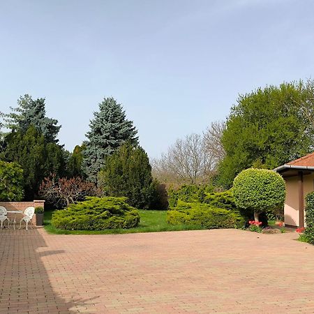 Korona Panzio Bed & Breakfast Balatonbereny Bagian luar foto
