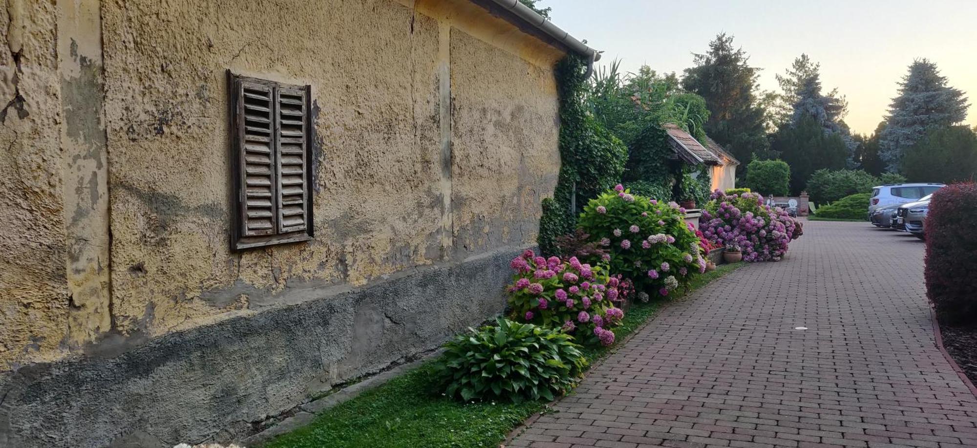 Korona Panzio Bed & Breakfast Balatonbereny Bagian luar foto