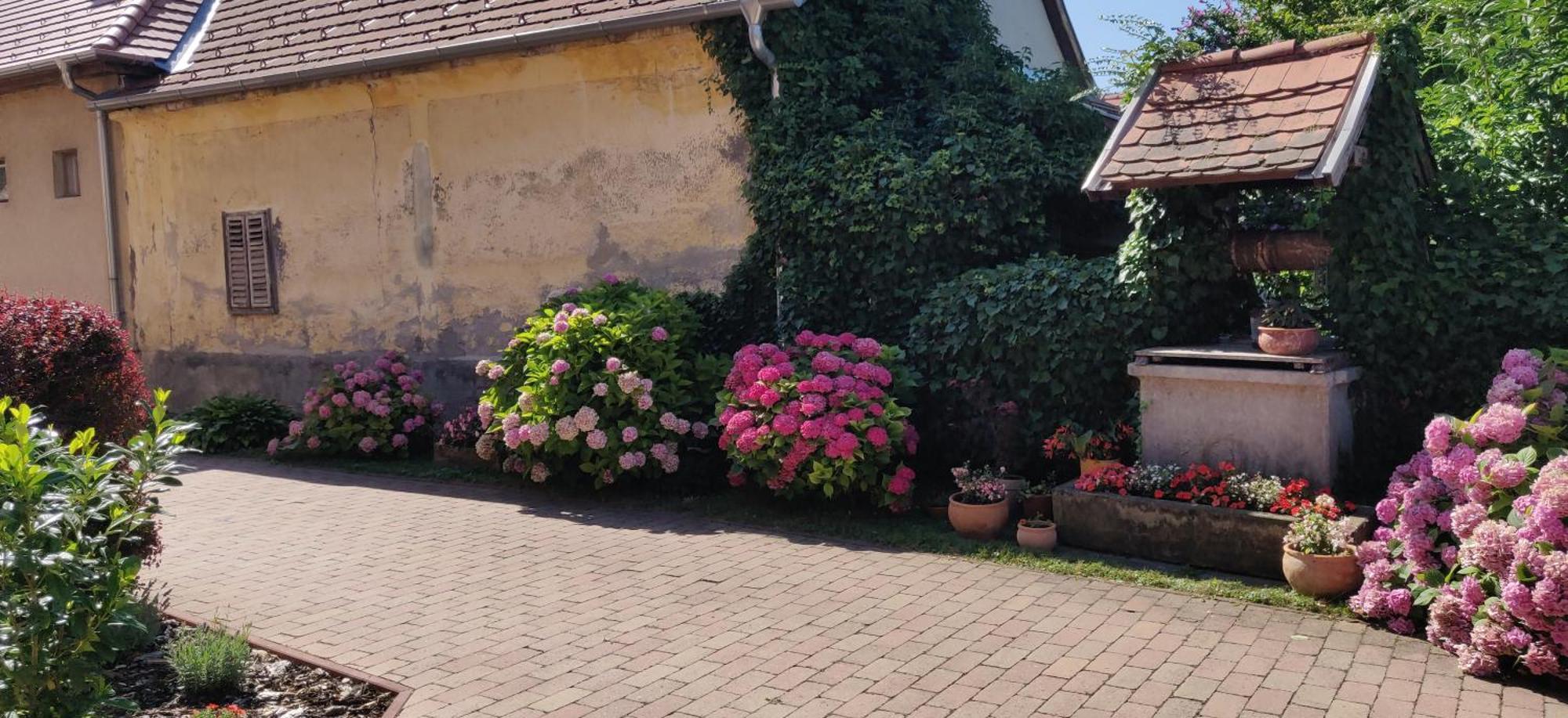 Korona Panzio Bed & Breakfast Balatonbereny Bagian luar foto